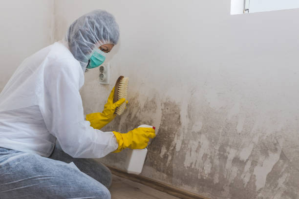 Best Biohazard Mold Removal  in Sunset, UT